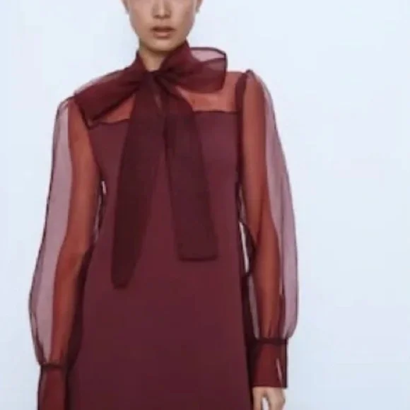 Zara organza dress semi sheer burgundy - Picture 4 of 6